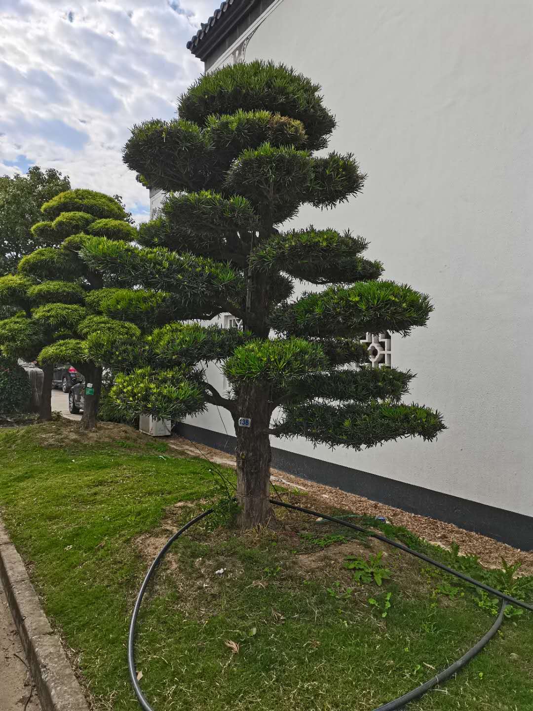 陕西成飞建筑工程加固有限公司